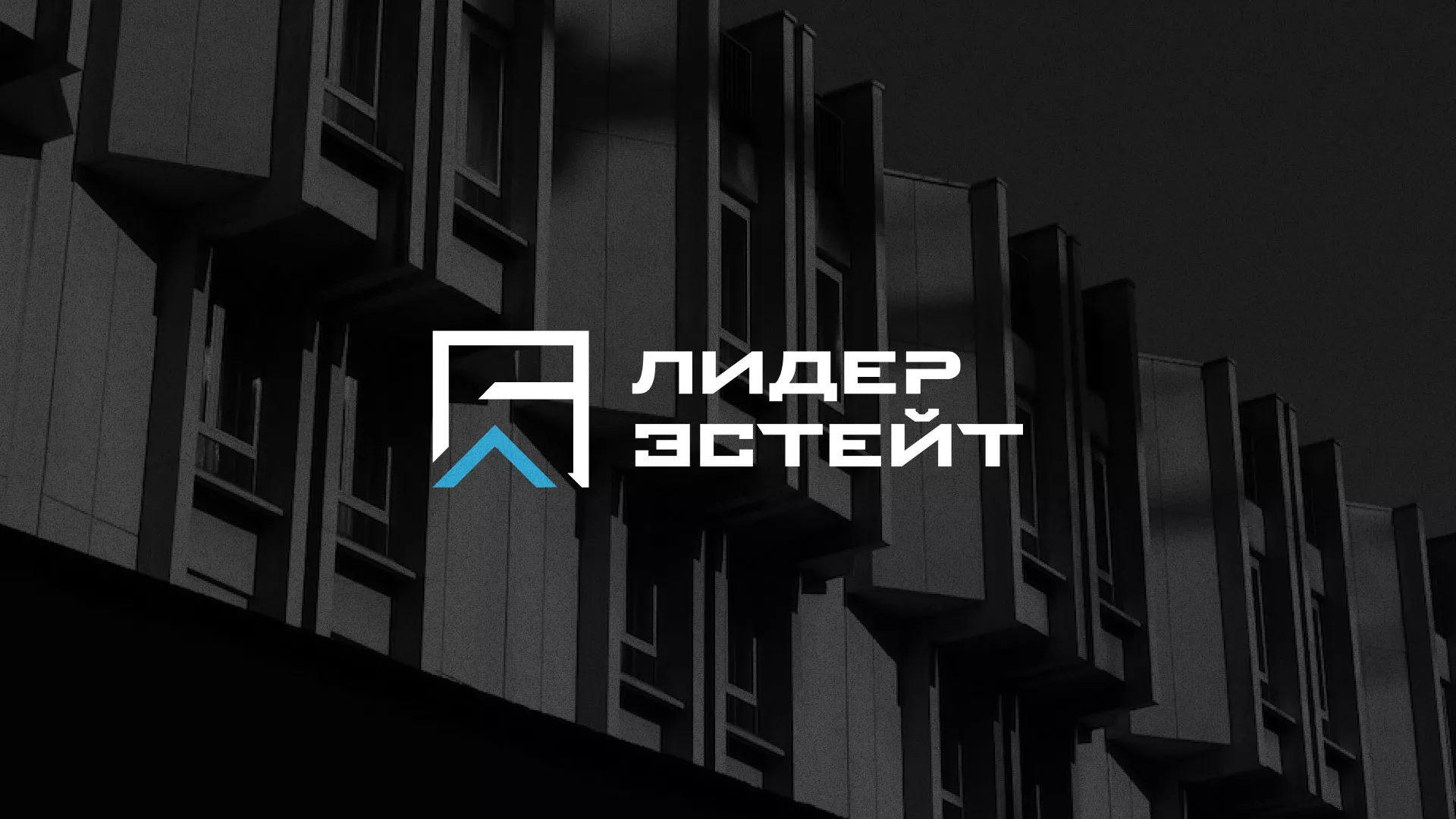 Разработка логотипа агентства недвижимости «Лидер Эстейт» в Морозовске